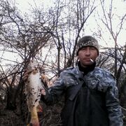 ���������� ���������, ���� ������� Nikolai, 45 ���, ������������ ��� ������, ����� � ���������, c�������� ���������