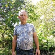  ,   , 61 ,   ,   , c 