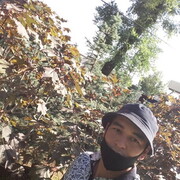  ,   , 33 ,  