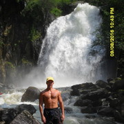  ,   Gartner, 53 ,   