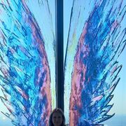 ���������� ������, ���� ������� ��������, 48 ���, ������������ ��� ����� � ���������, c�������� ���������