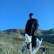  ,   Baxt, 57 ,   , 