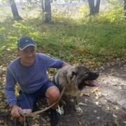 ���������� ������, ���� ������� ������, 40 ���, ������������ ��� c�������� ���������