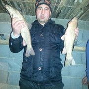 ���������� �������, ���� ������� ������, 40 ���, ������������ ��� ������, ���������