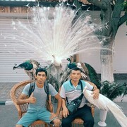  ,   , 32 ,   ,   