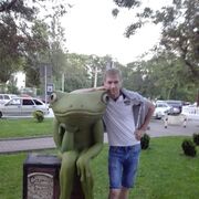 ���������� ������, ���� ������� ���������, 43 ����, ������������ ��� ������, ����� � ���������, c�������� ���������