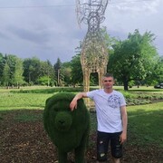 ���������� ������ ���, ���� ������� �������, 50 ���, ������������ ��� ����� � ���������, c�������� ���������