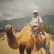 ���������� ������, ���� ������� ����, 55 ���, ������������ ��� ������, ����� � ���������, c�������� ���������