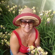 ���������� ��������, ���� ������� ����, 65 ���, ������������ ��� ����� � ���������, c�������� ���������