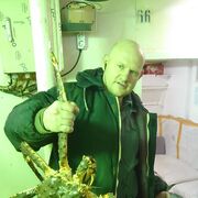 ���������� ���������, ���� ������� Dmitrii, 49 ���, ������������ ��� ������, ����� � ���������