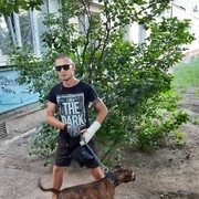 ���������� ���������, ���� ������� ����, 41 ���, ������������ ��� ������, ����� � ���������, c�������� ���������