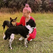  ,   , 28 ,     , c 