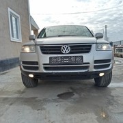 ���������� ������, ���� ������� Daniar, 35 ���, ������������ ��� ������, ����� � ���������, c�������� ���������