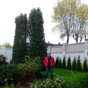 ���������� �����, ���� ������� ��������, 48 ���, ������������ ��� ������, ����� � ���������, c�������� ���������