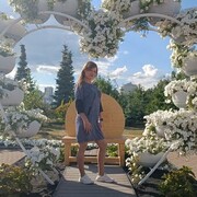  ,   , 38 ,   ,   