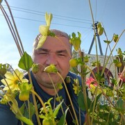  ,   , 49 ,   ,   