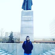 ���������� ��������, ���� ����� Paxyl, 24 ����, ������������ ��� ������, ����� � ���������, c�������� ���������, ���������