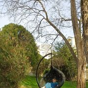 ���������� ��������, ���� ������� �����, 48 ���, ������������ ��� c�������� ���������