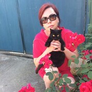  ,   , 49 ,   ,   