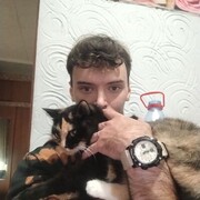  ,   , 29 ,     , c , 