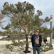 ���������� �����, ���� ������� ������, 39 ���, ������������ ��� c�������� ���������