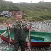 ���������� �������, ���� ������� �������, 50 ���, ������������ ��� ������, ����� � ���������, c�������� ���������