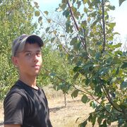 ���������� �������, ������ ����, 19