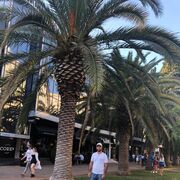 ���������� ����������, ���� ������� ������, 39 ���, ������������ ��� ������, ����� � ���������