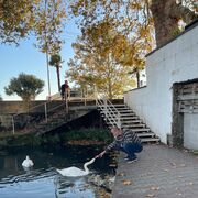 ���������� �����������, ������� ������, 47