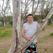 ���������� ������, ���� ������� ����, 65 ���, ������������ ��� ������, ����� � ���������, c�������� ���������