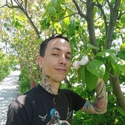  ,   , 26 ,     , c 