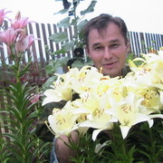 ���������� �����-���������, ���� ������� ����, 55 ���, ������������ ��� ������, ����� � ���������, c�������� ���������, ���������