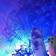 ���������� ������, ���� ������� �����, 35 ���, ������������ ��� ������, ����� � ���������