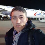 ,   , 43 ,   ,   