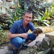  -,   , 37 ,   ,   , c 