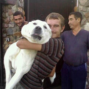 ���������� ����������, ���� ������� ����, 47 ���, ������������ ��� ����� � ���������, c�������� ���������