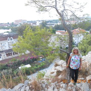 ���������� ������ ��������, ���� ������� �����, 44 ����, ������������ ��� ����� � ���������, c�������� ���������