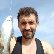  ,   , 44 ,   ,   