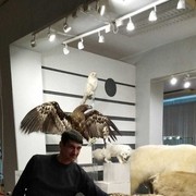  --,   , 50 ,   