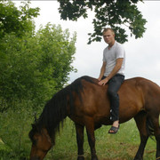 ���������� ������, ���� ������� �����, 36 ���, ������������ ��� ������, ����� � ���������, c�������� ���������