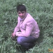  ,  , 41