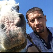 ���������� ���������� �����, ���� ������� Almaz, 38 ���, ������������ ��� ������, ����� � ���������