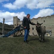 ���������� ������, ���� ������� ���������, 46 ���, ������������ ��� ������, ����� � ���������, c�������� ���������, ���������