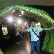 ���������� �������, ���� ������� ������, 40 ���, ������������ ��� ������, ����� � ���������, c�������� ���������, ���������