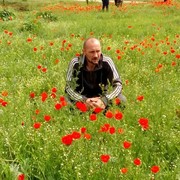 ���������� ������, ���� ������� ����, 50 ���, ������������ 