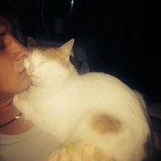 ���������� ������, ���� ������� ���������, 41 ���, ������������ ��� ����� � ���������, c�������� ���������