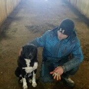 ���������� ������, ���� ������� �������, 38 ���, ������������ ��� ������, ����� � ���������