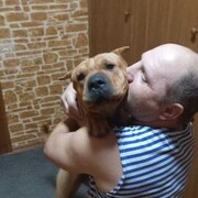 ���������� ���������, ���� ������� ������, 50 ���, ������������ ��� ������, ����� � ���������