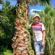 ���������� �������, ���� ������� ����������, 38 ���, ������������ ��� ������, ����� � ���������, c�������� ���������