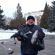 ���������� ����� �������, ���� ������� ������, 66 ���, ������������ ��� c�������� ���������